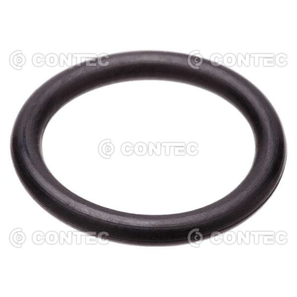 Anel O’ Ring