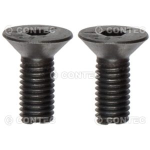 PARAFUSO CABEÇA CHATA