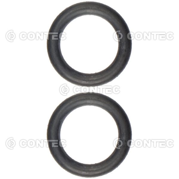 ORING DE VEDAÇÃO DO KIT DA CUICA 24/30  30/30