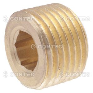 Plug C/ Sextavado Interno
