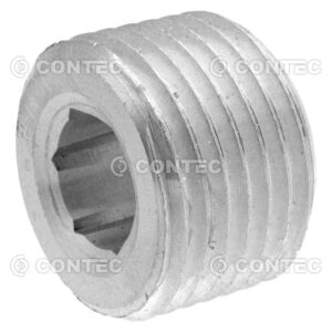 Plug Sextavado Interno